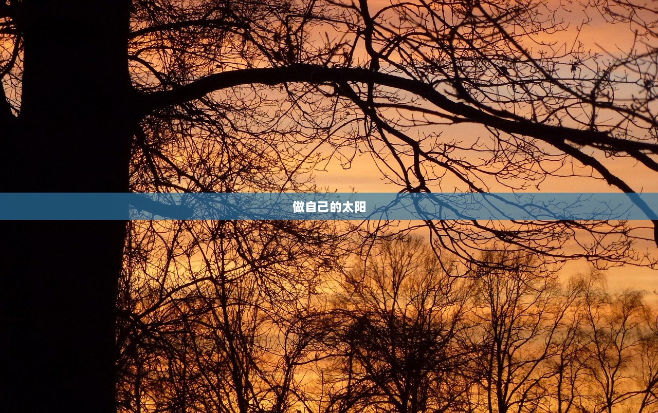 做自己的太阳  第1张