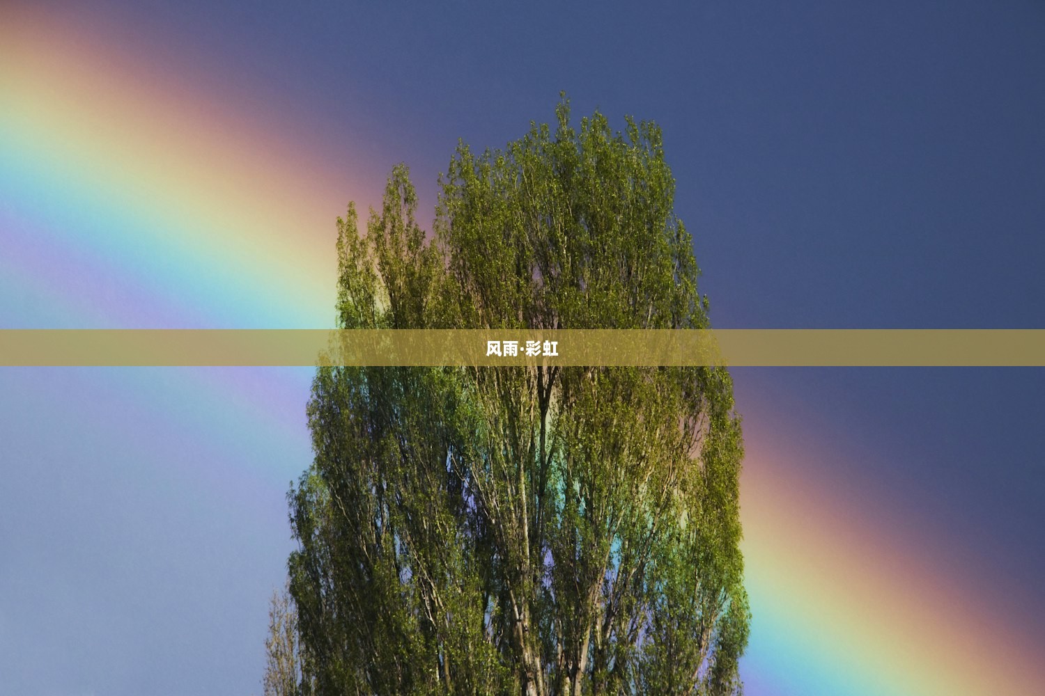风雨·彩虹