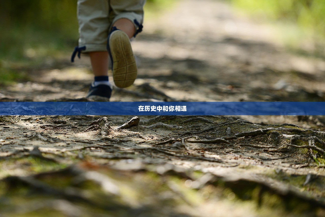 在历史中和你相遇