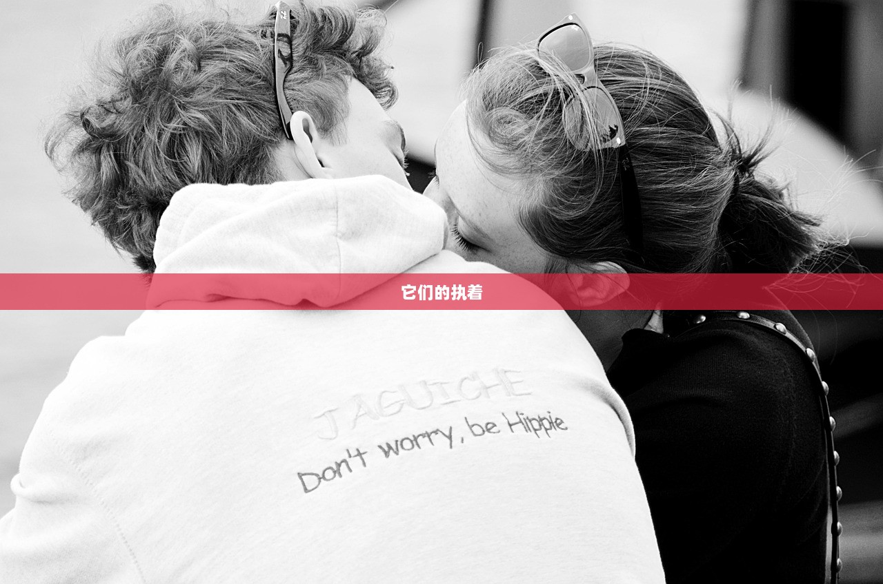 它们的执着  第1张