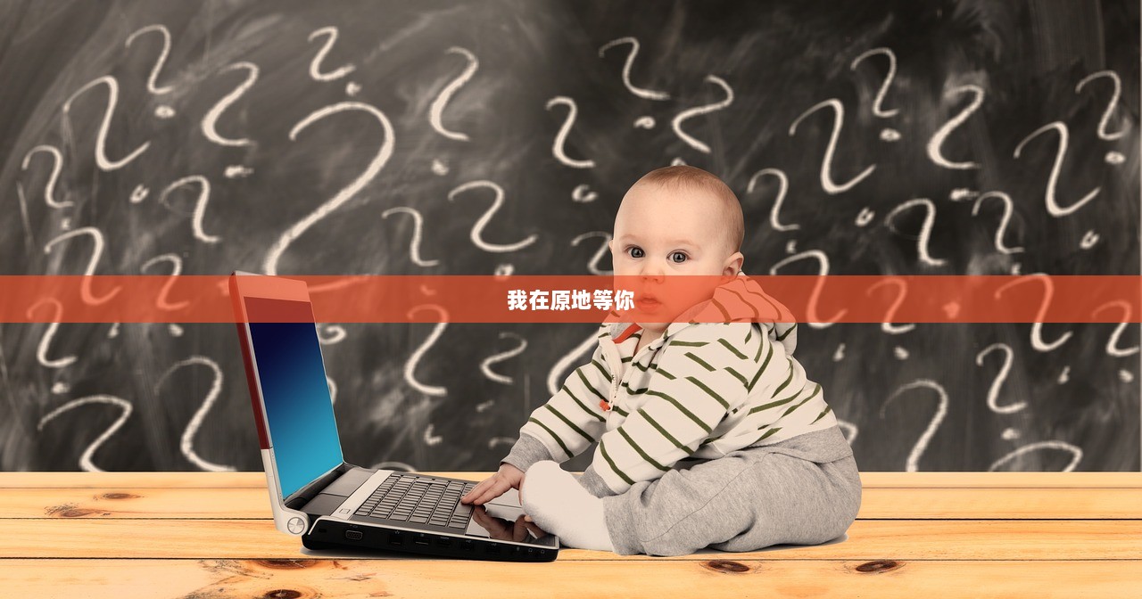 我在原地等你  第1张