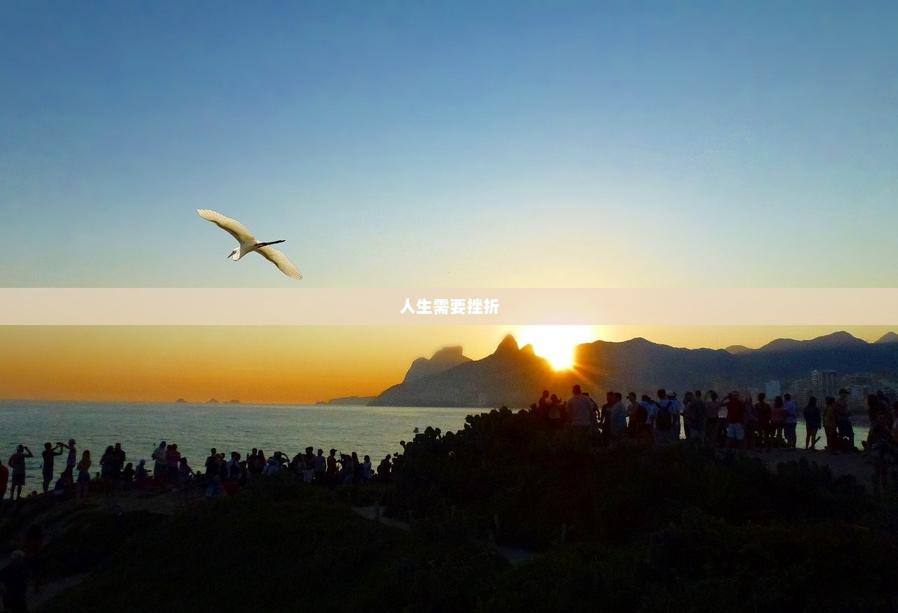 人生需要挫折