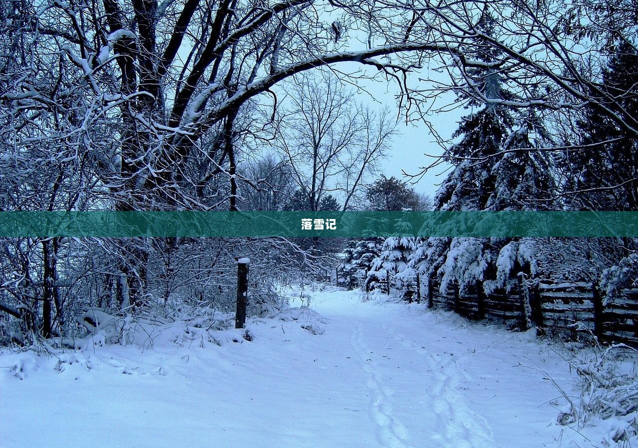 落雪记