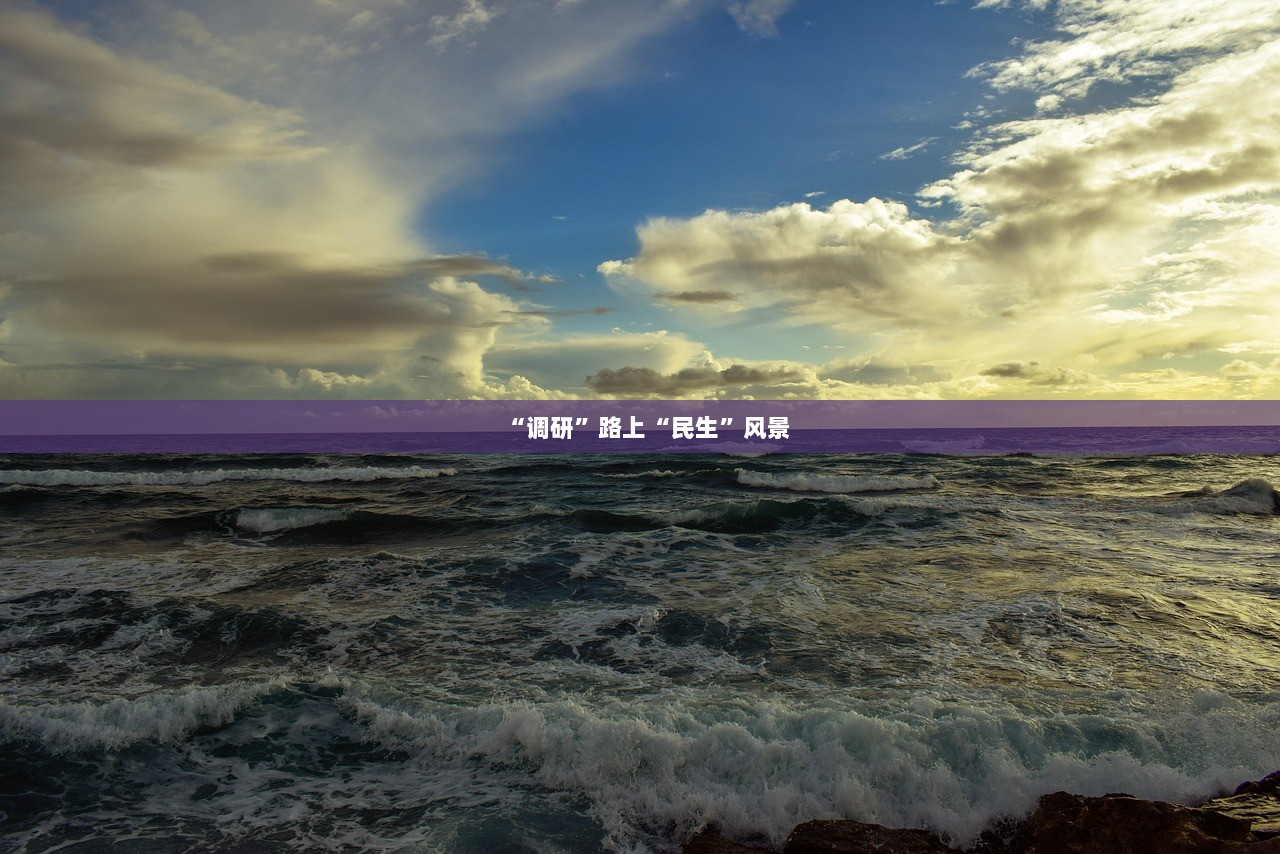 “调研”路上“民生”风景