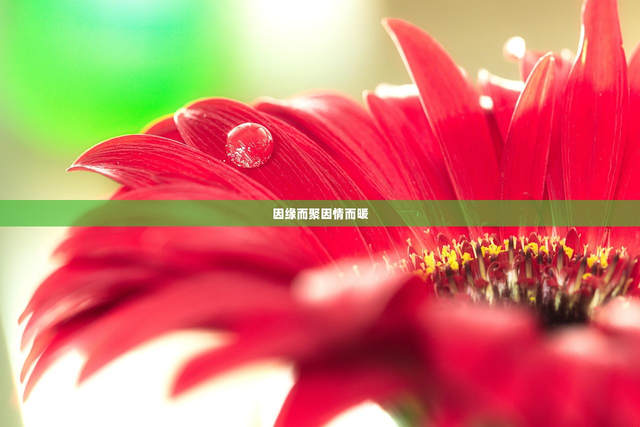 因缘而聚因情而暖