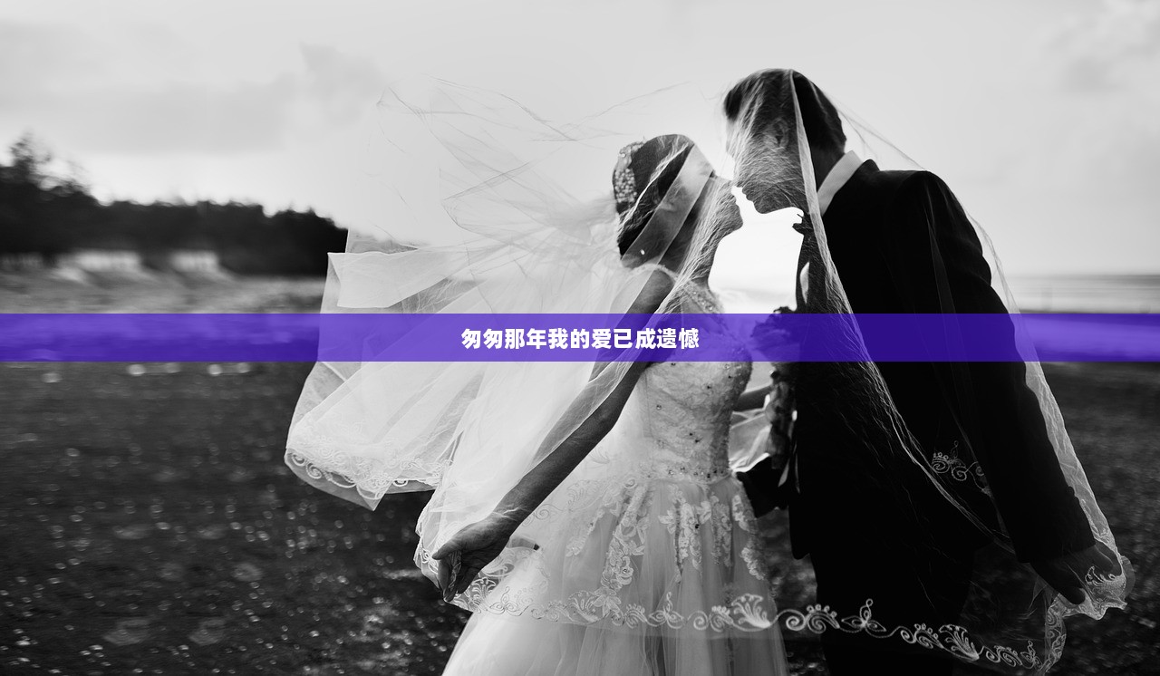 匆匆那年我的爱已成遗憾