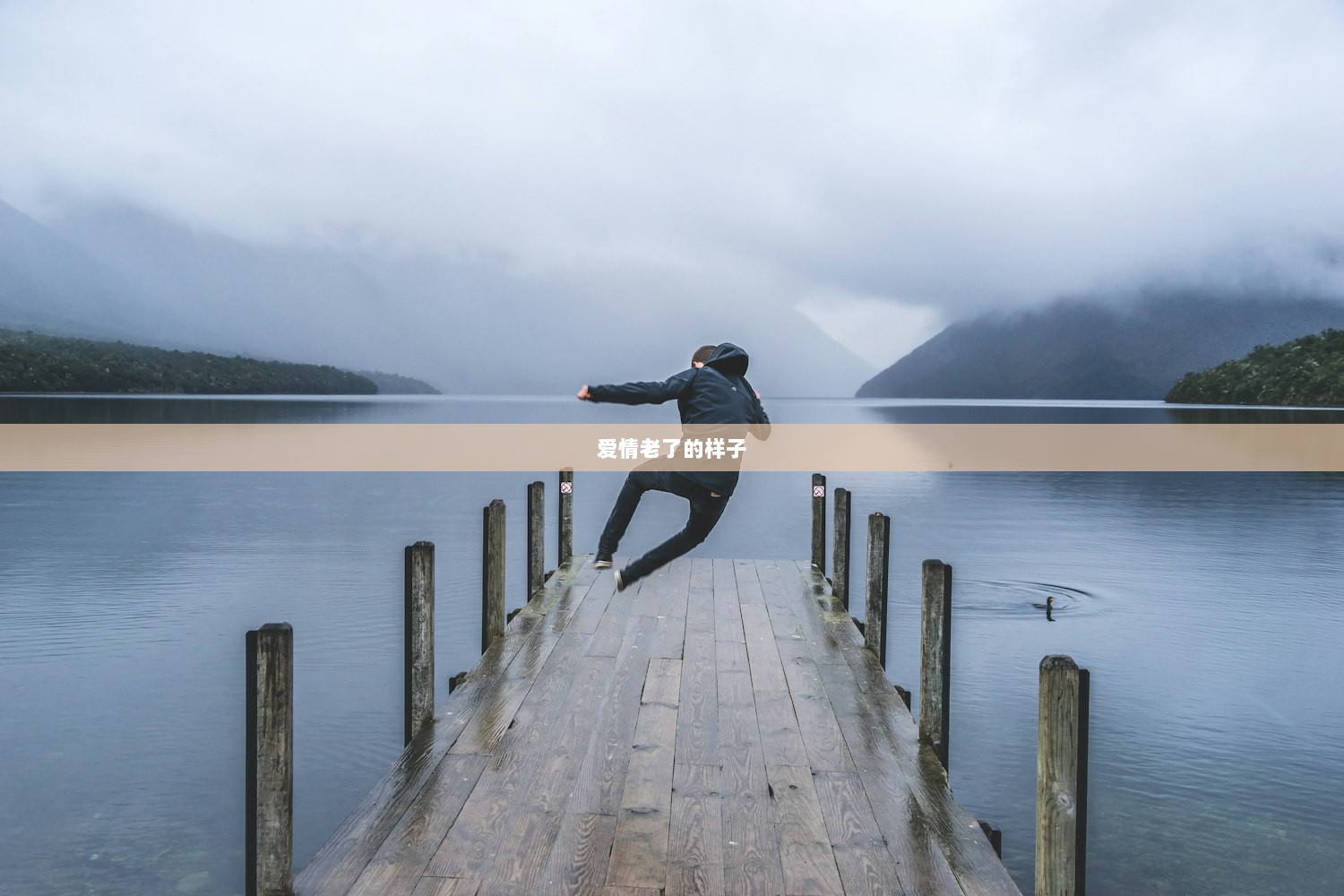 爱情老了的样子