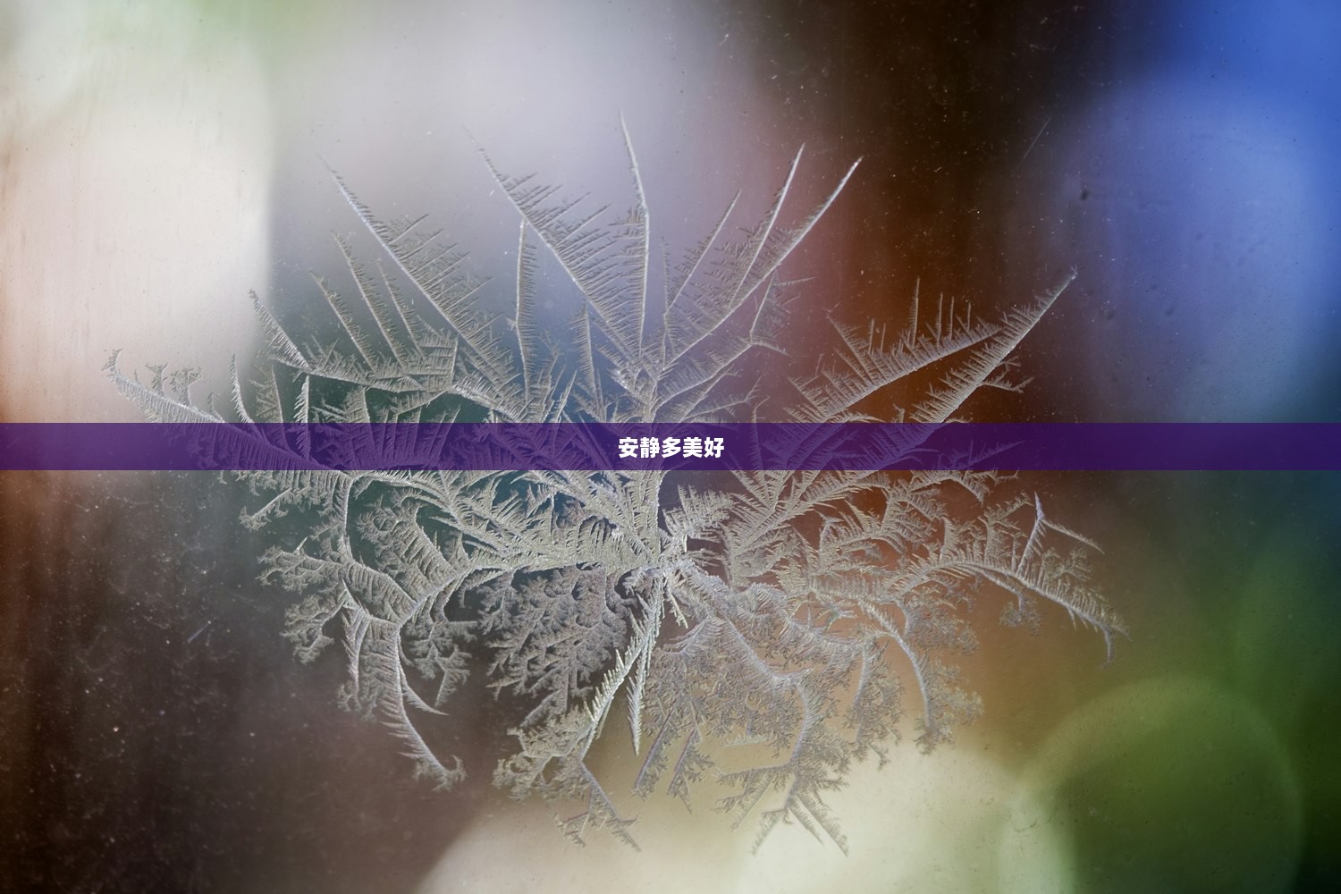 安静多美好