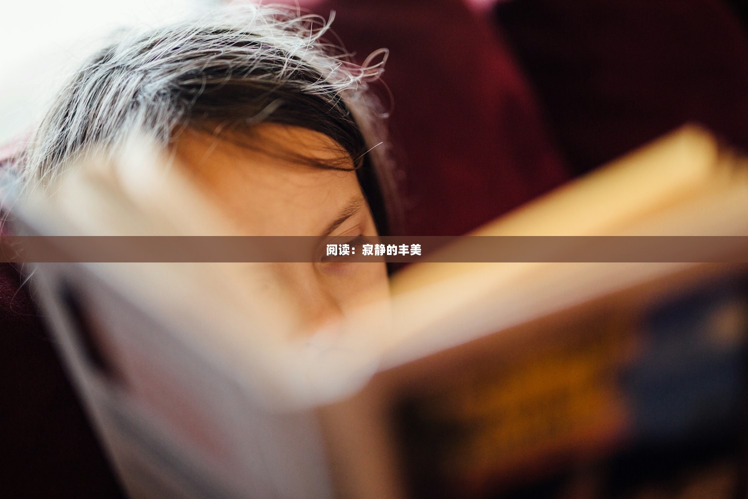 阅读：寂静的丰美