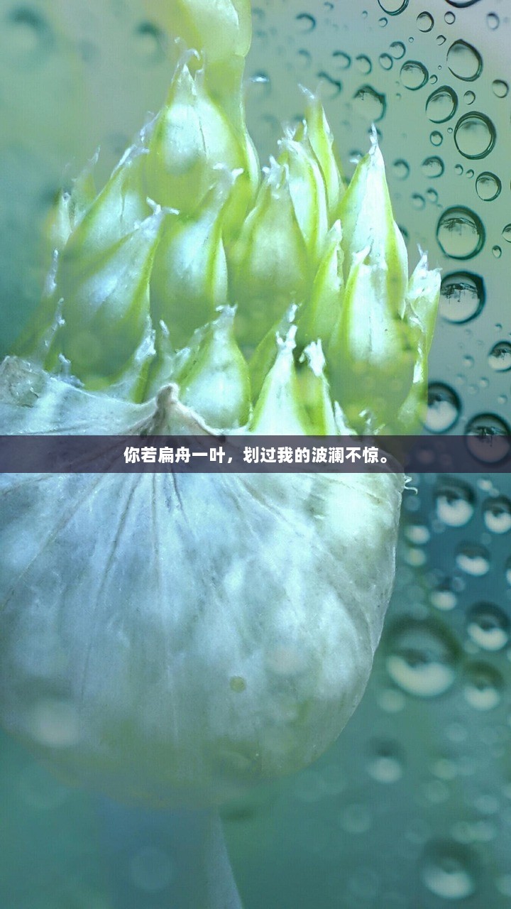 你若扁舟一叶，划过我的波澜不惊。