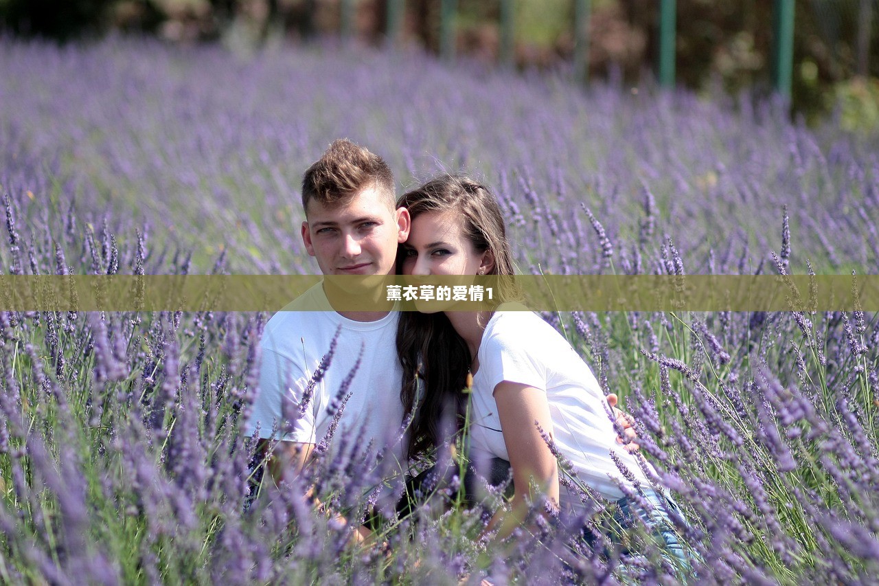 薰衣草的爱情1