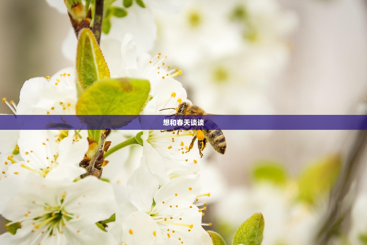 想和春天谈谈