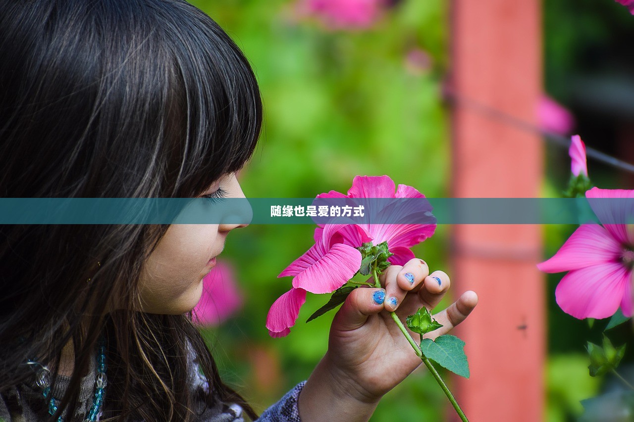 随缘也是爱的方式  第1张