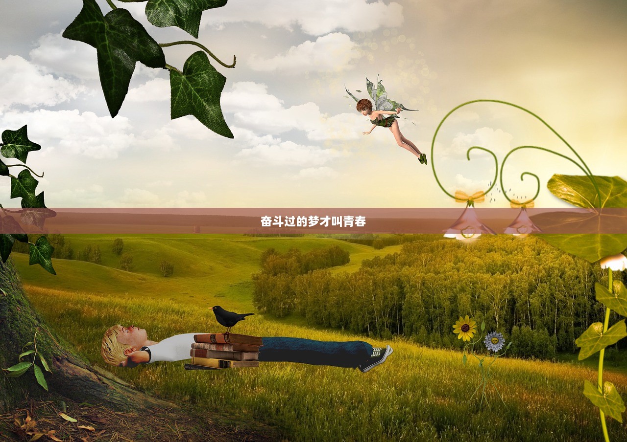 奋斗过的梦才叫青春