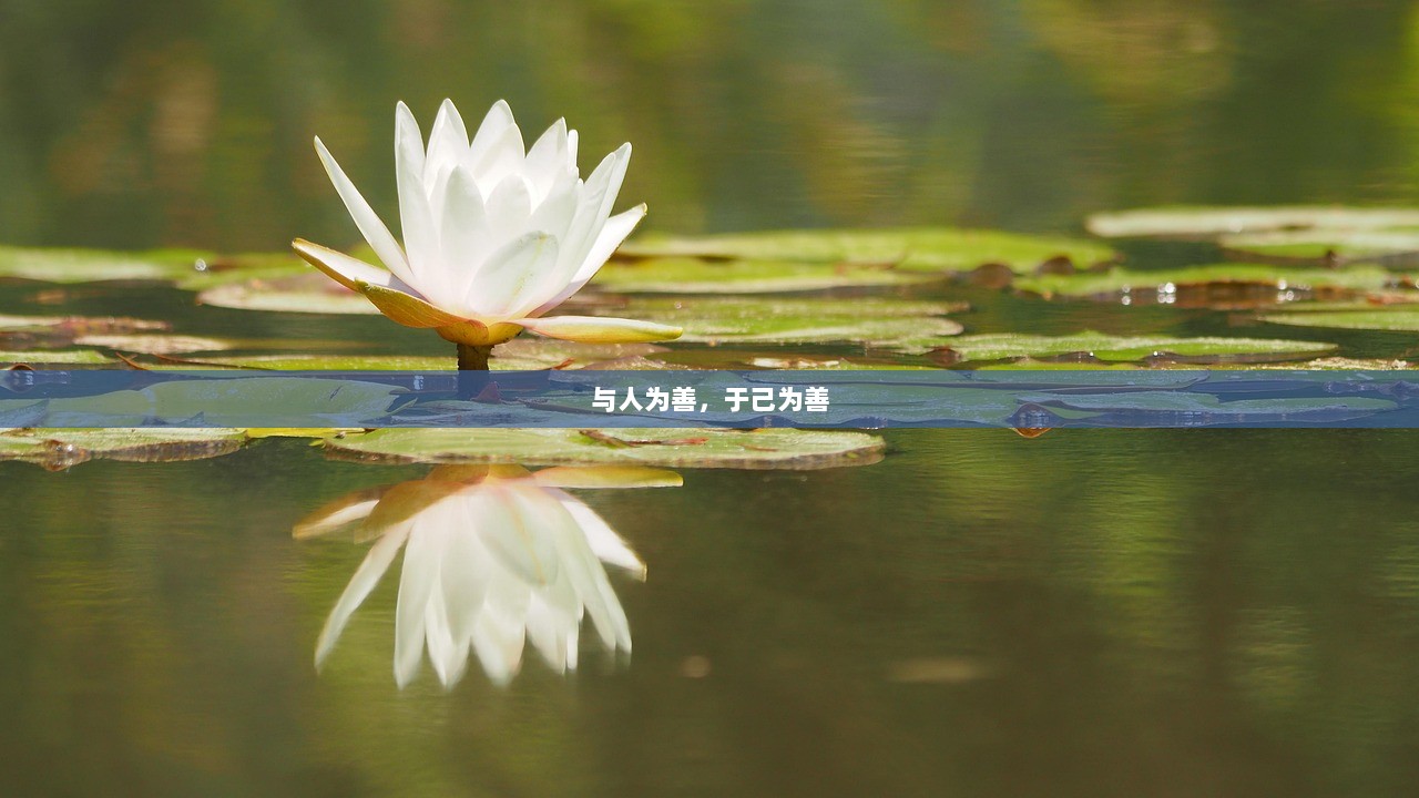 与人为善，于己为善  第1张