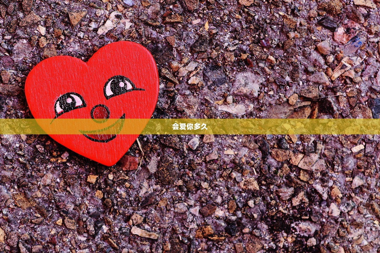 会爱你多久