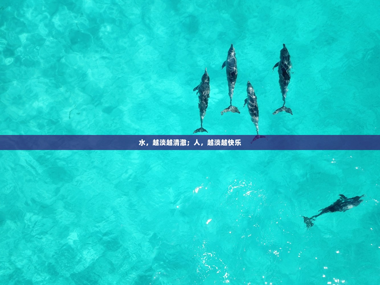 水，越淡越清澈；人，越淡越快乐