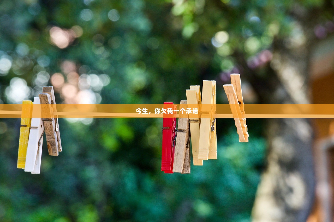 今生，你欠我一个承诺