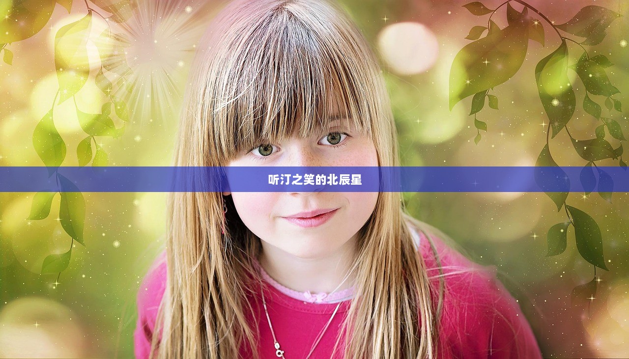 听汀之笑的北辰星