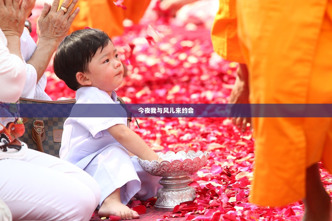 今夜我与风儿来约会  第1张