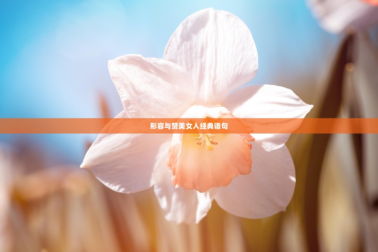 形容与赞美女人经典语句  第1张