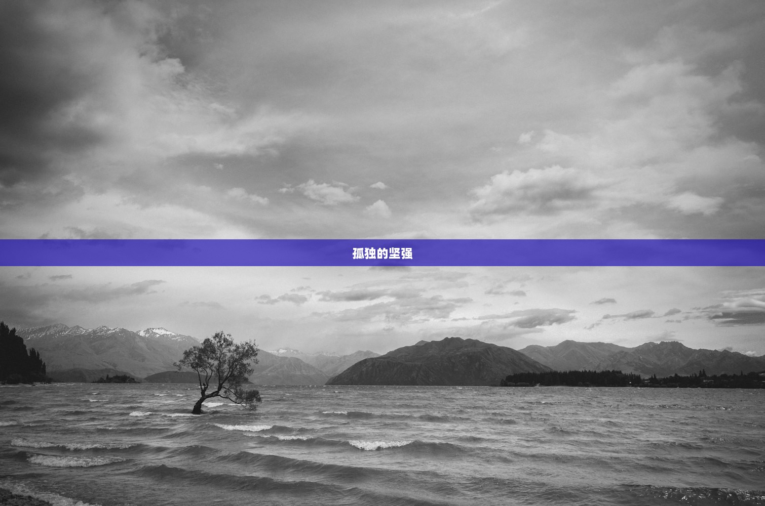 孤独的坚强
