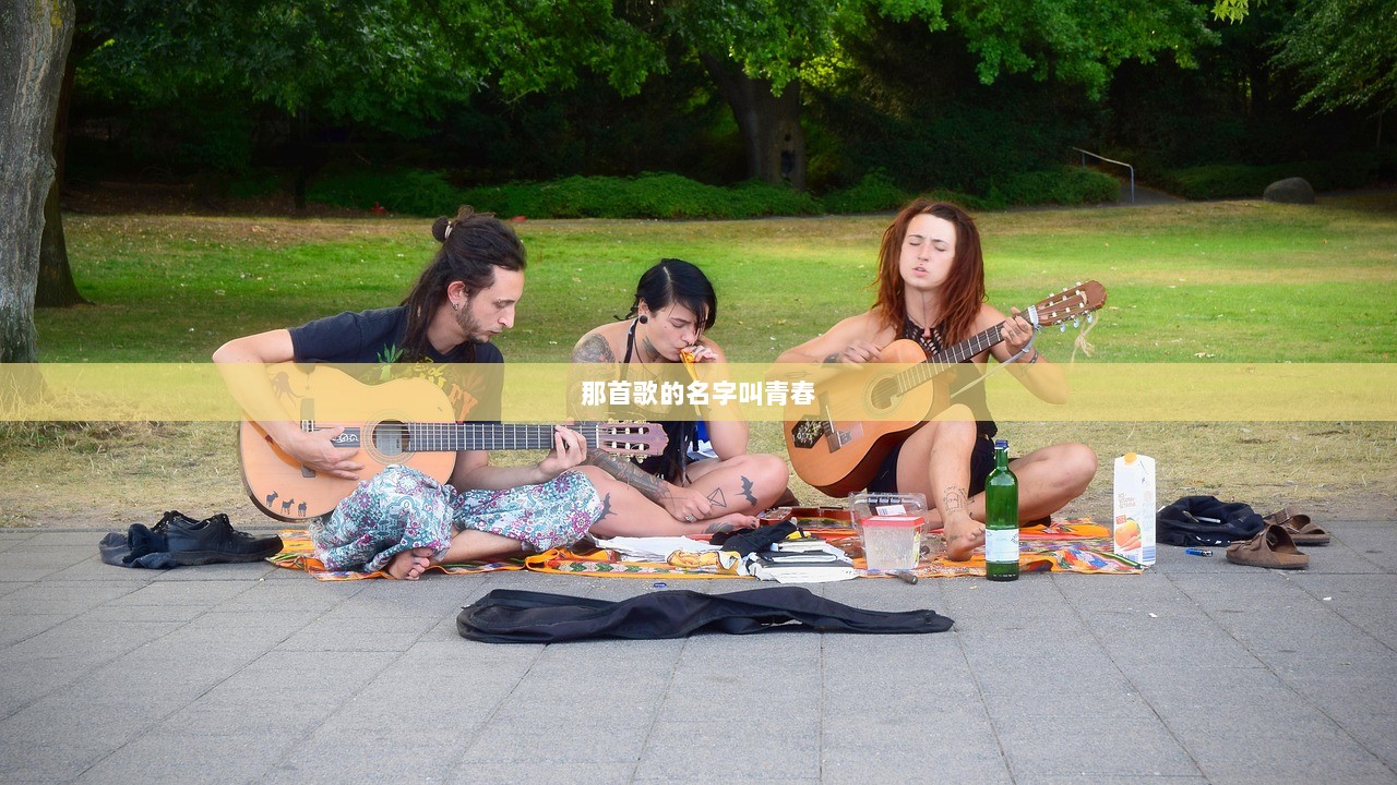 那首歌的名字叫青春  第1张