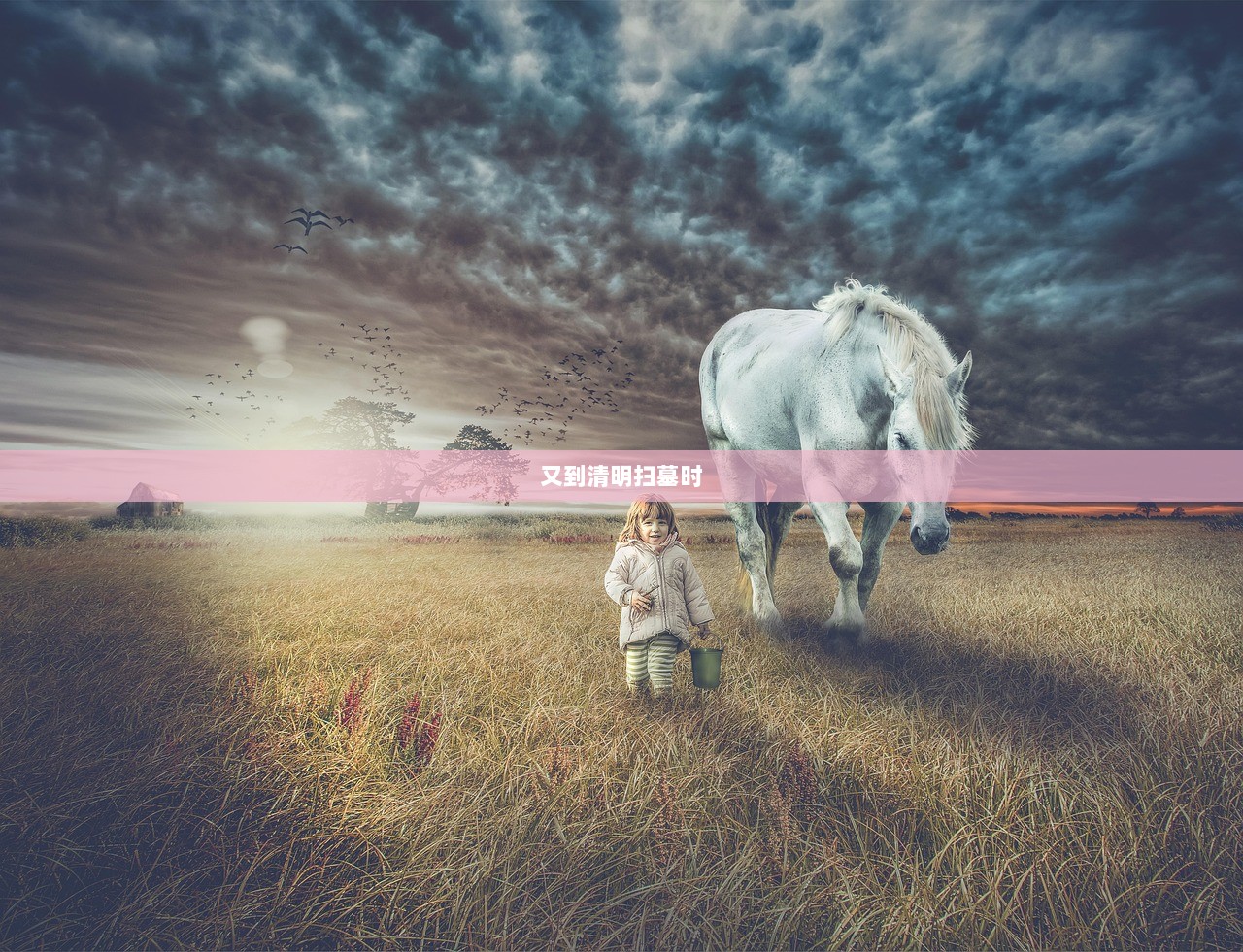 又到清明扫墓时  第1张