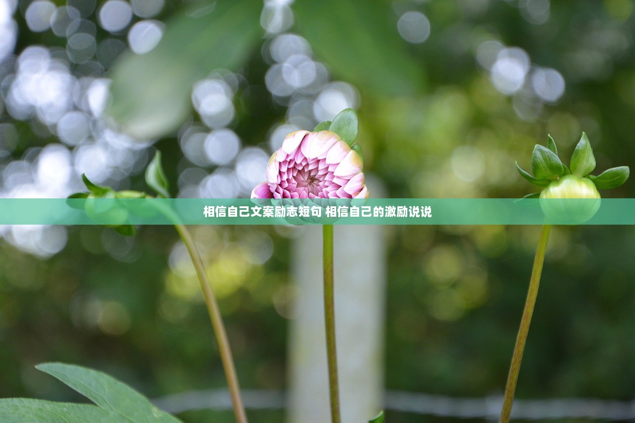 相信自己文案励志短句 相信自己的激励说说