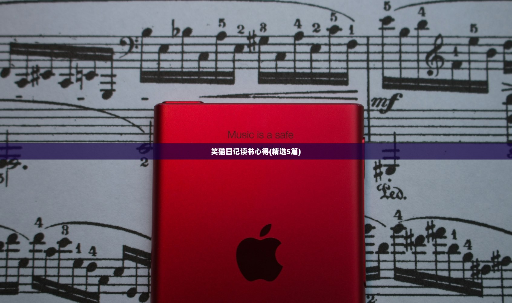 笑猫日记读书心得(精选5篇)