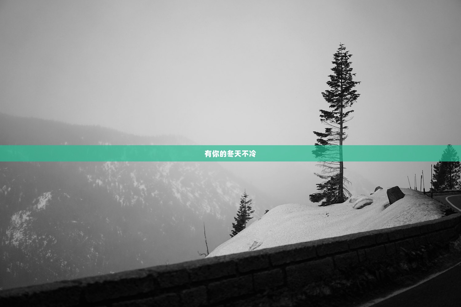 有你的冬天不冷  第1张