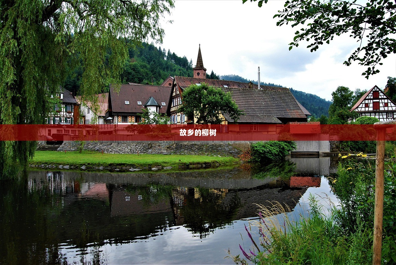 故乡的柳树  第1张