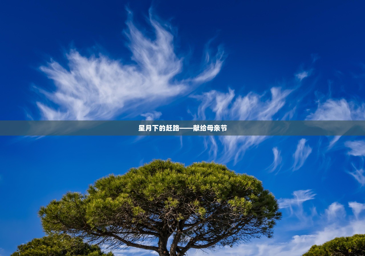 星月下的赶路——献给母亲节  第1张