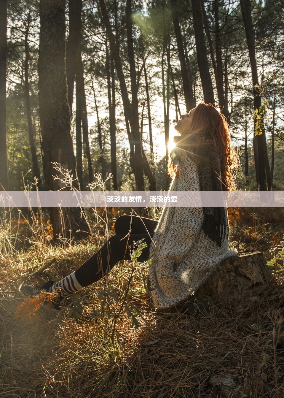 淡淡的友情，淡淡的爱  第1张