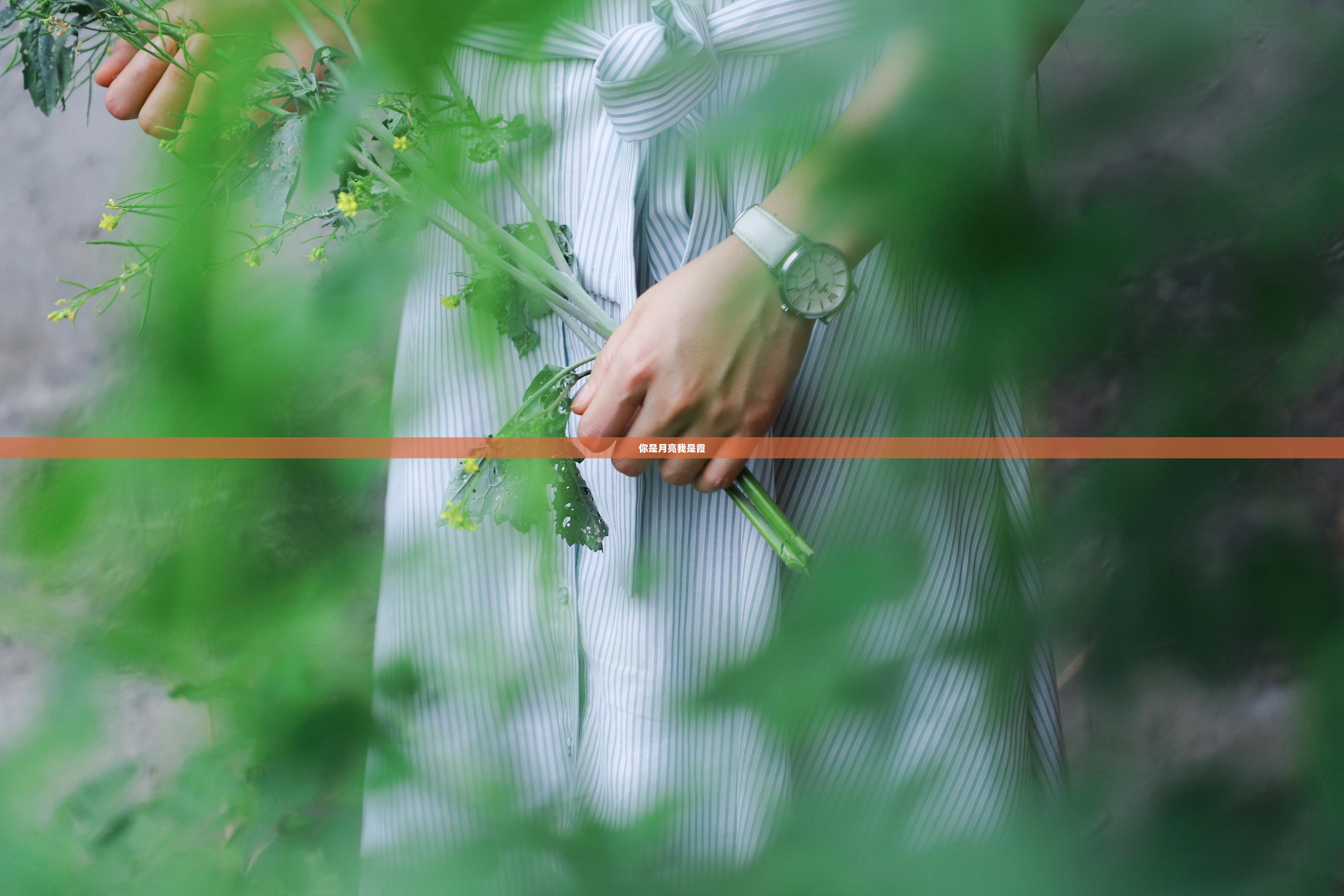 你是月亮我是霞