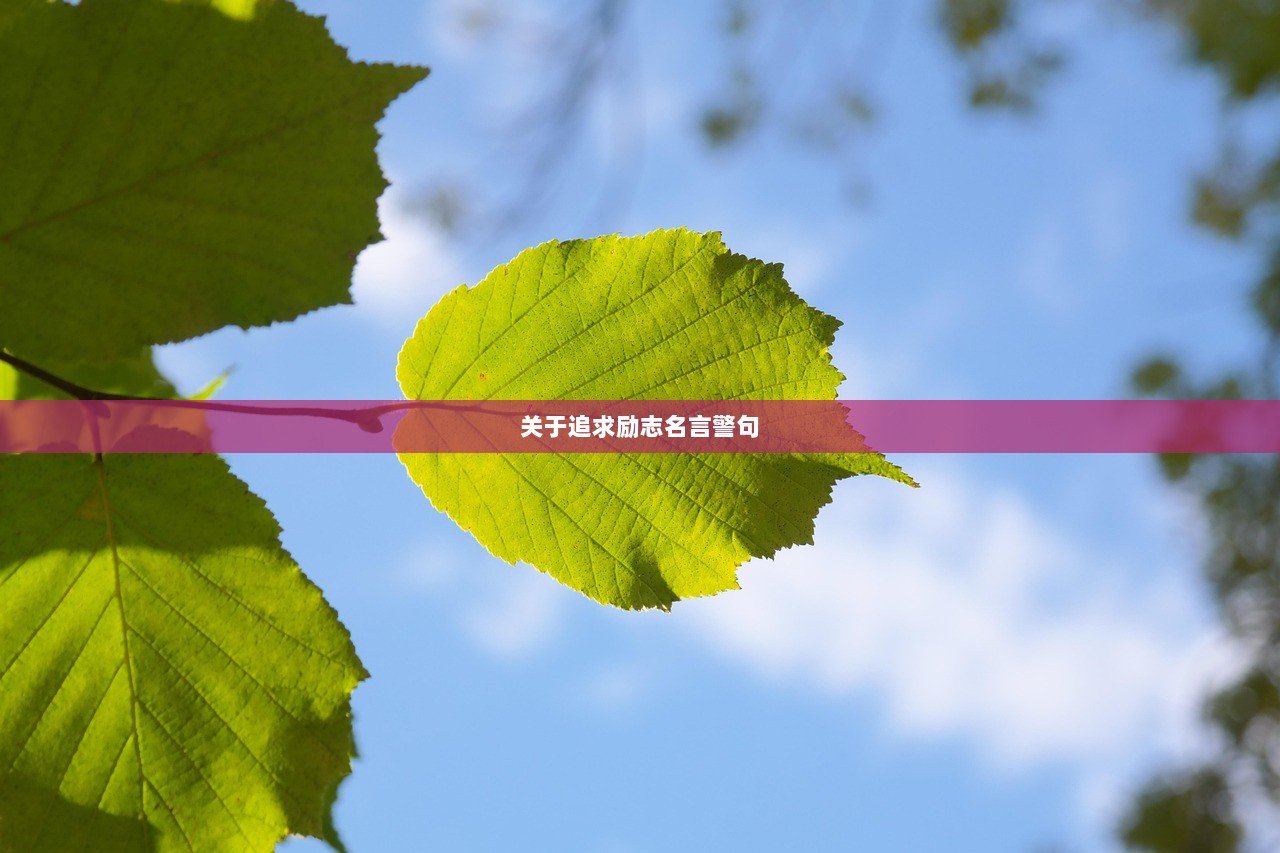 关于追求励志名言警句