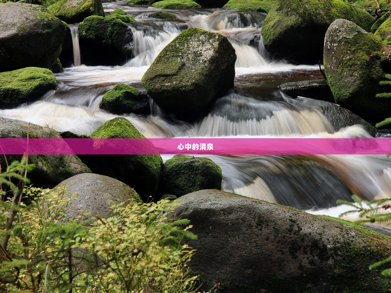 心中的清泉  第1张