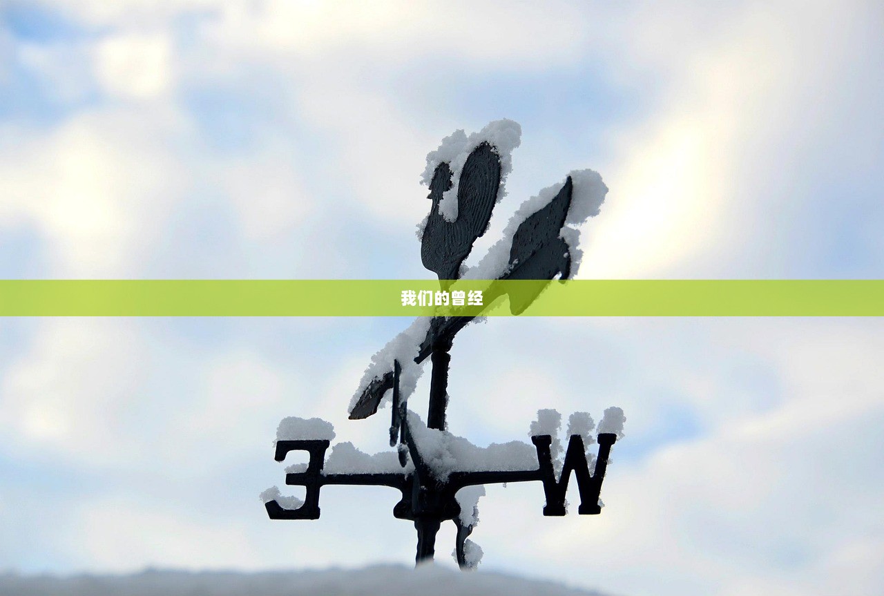 我们的曾经