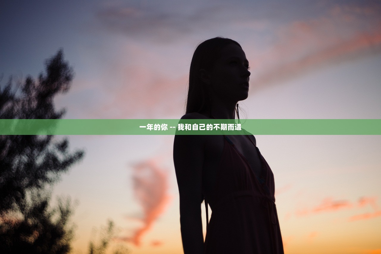 一年的你 -- 我和自己的不期而遇