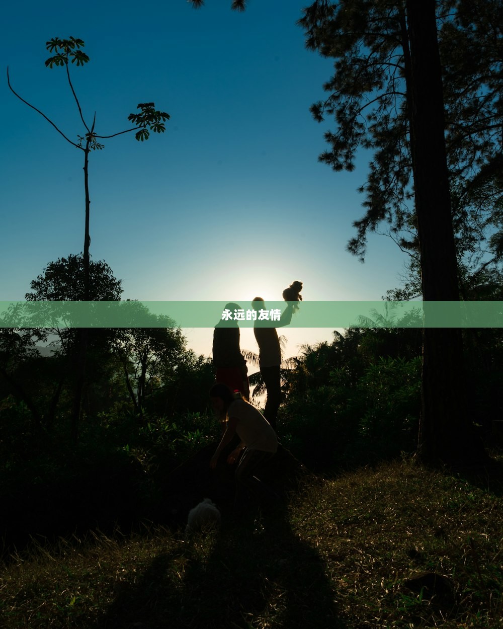 永远的友情