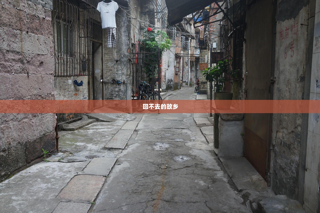 回不去的故乡  第1张