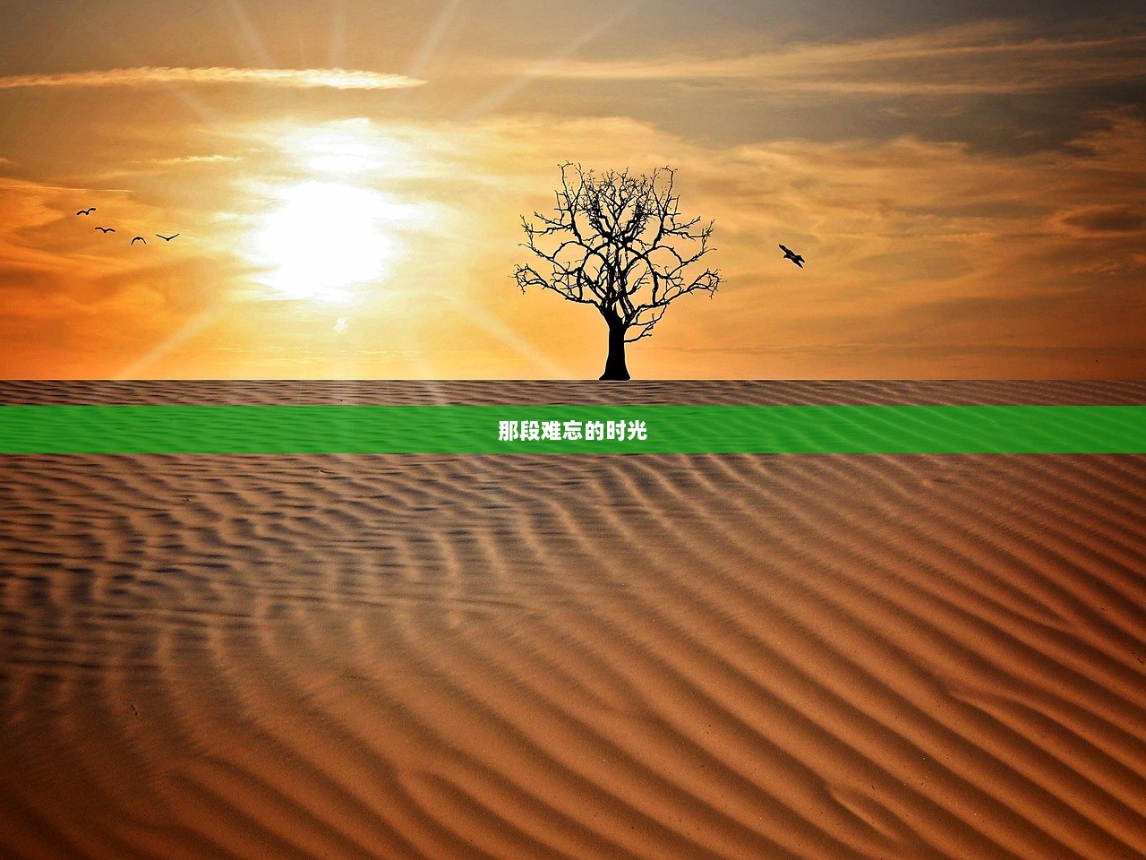 那段难忘的时光