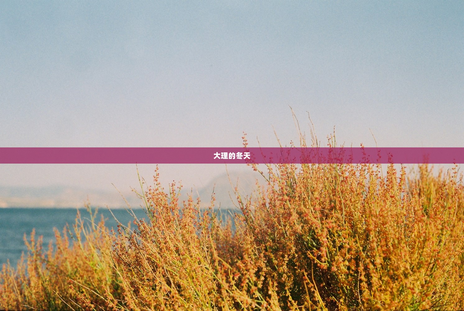 大理的冬天
