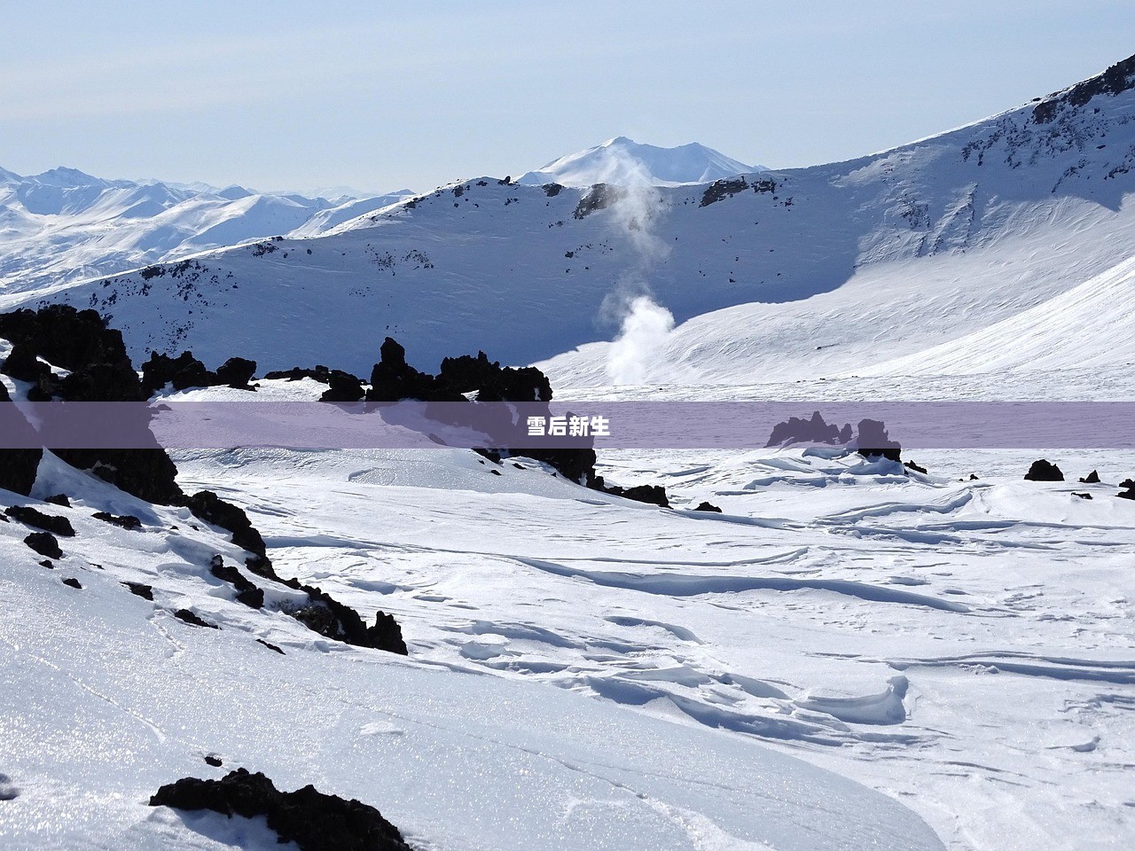 雪后新生