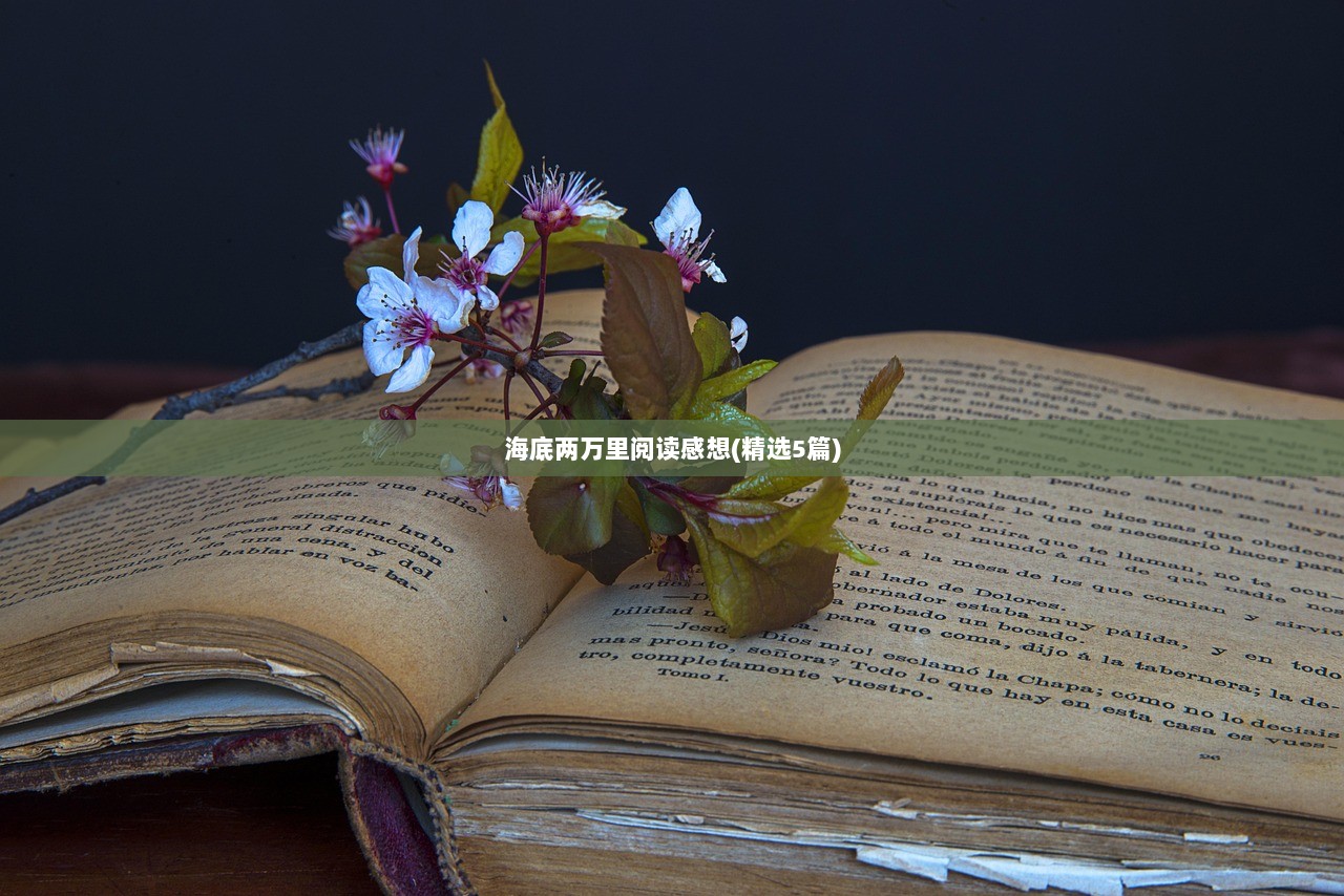 海底两万里阅读感想(精选5篇)  第1张
