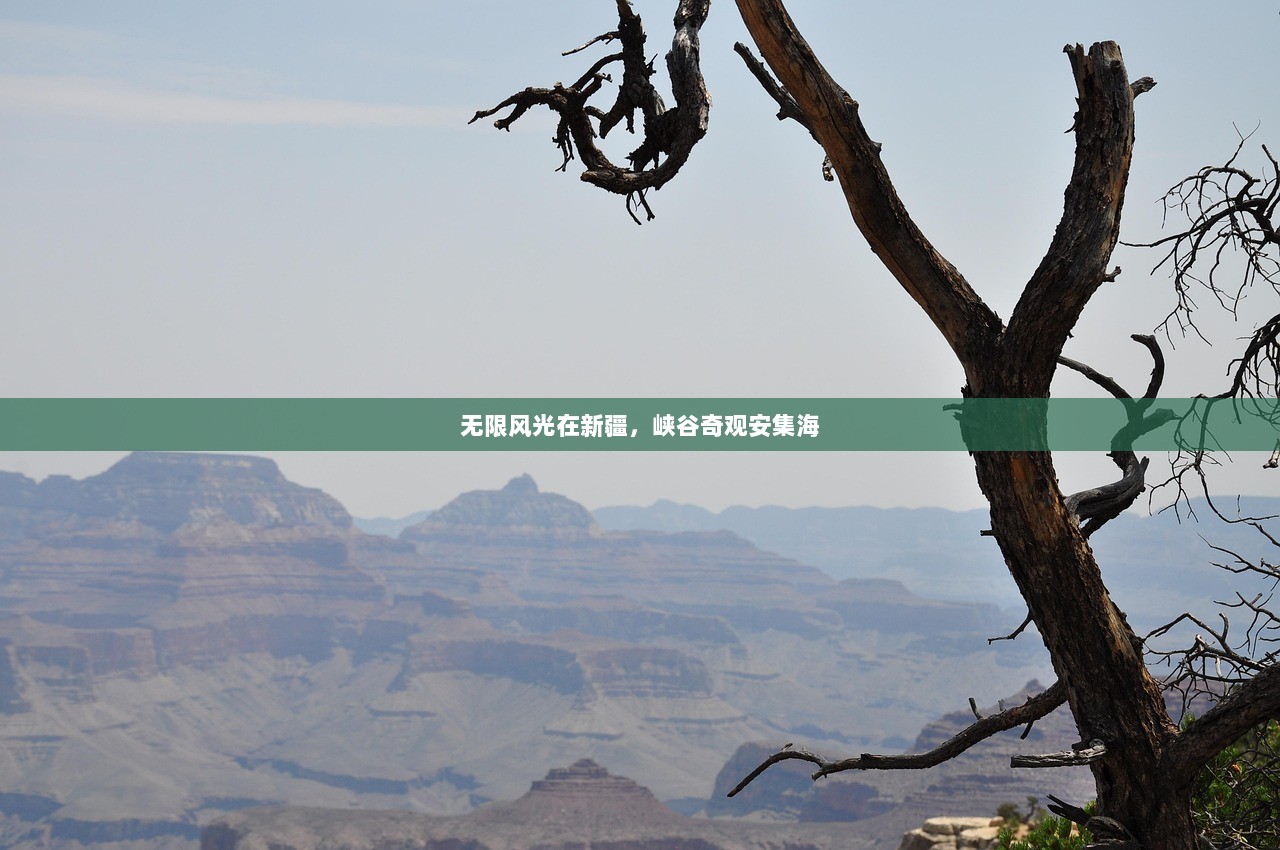 无限风光在新疆，峡谷奇观安集海