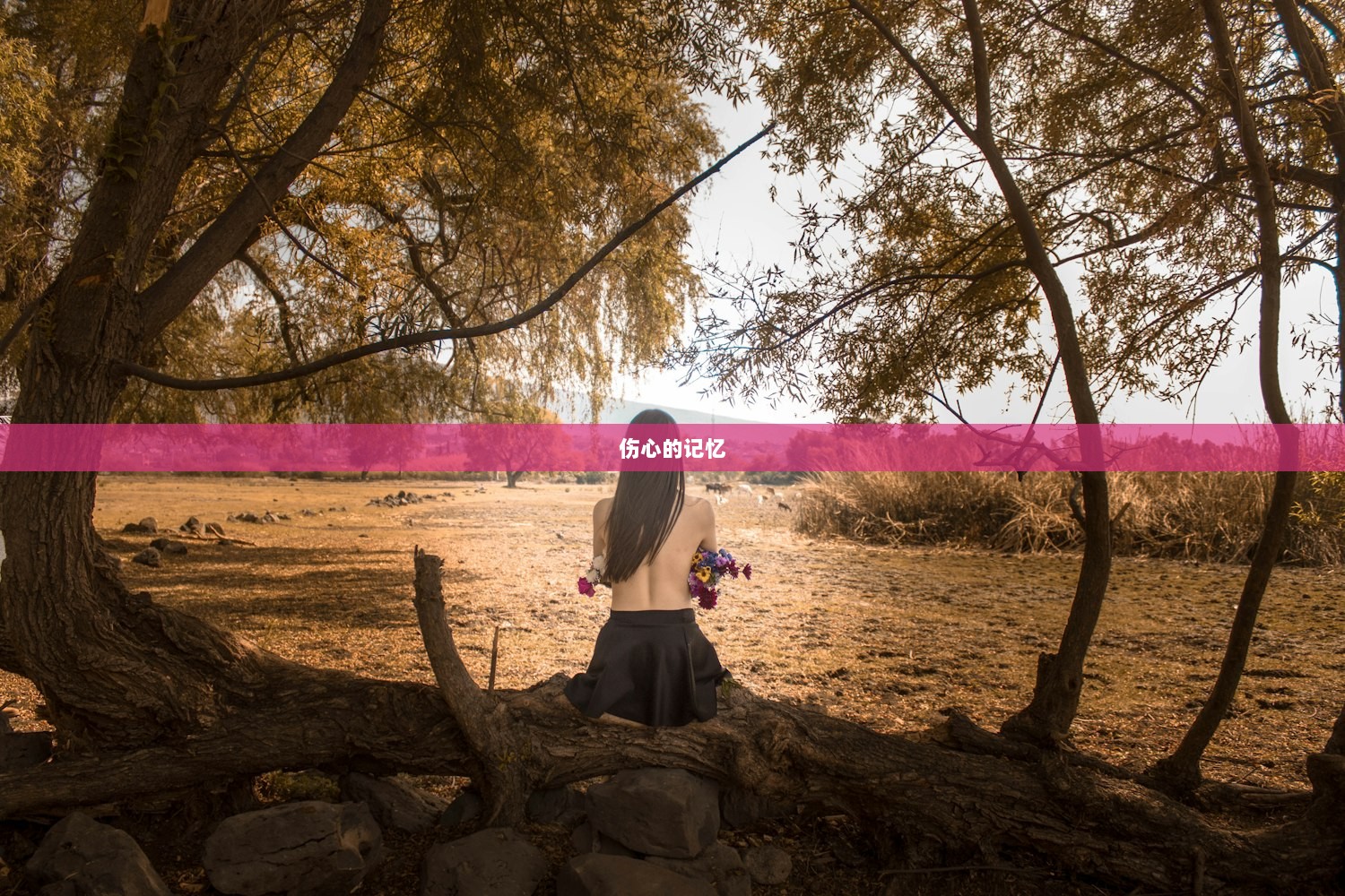 伤心的记忆  第1张