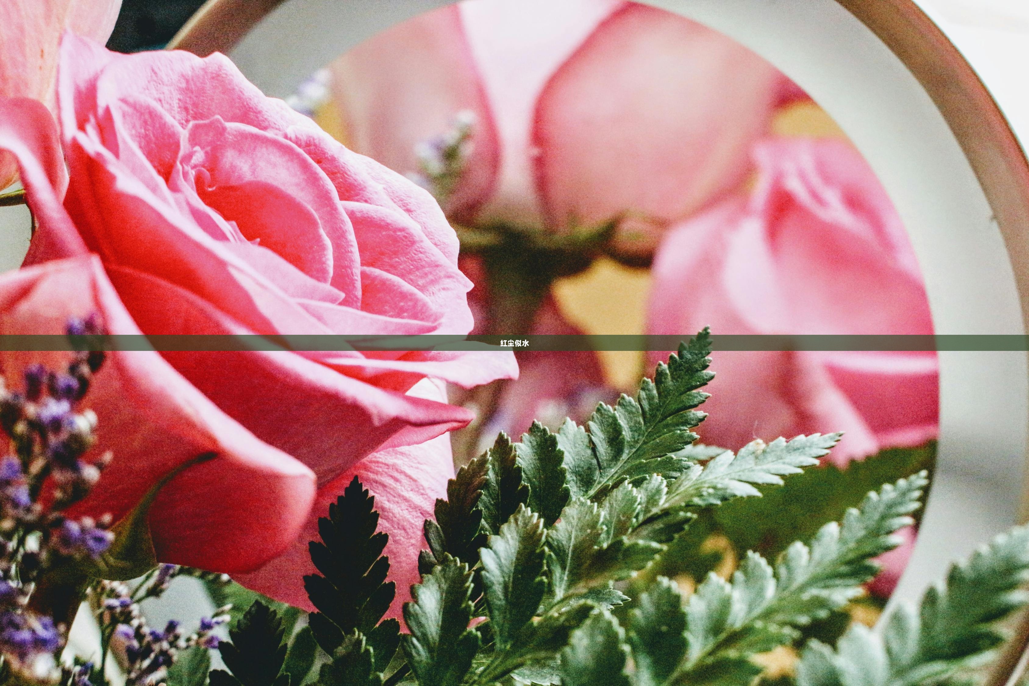 红尘似水  第1张