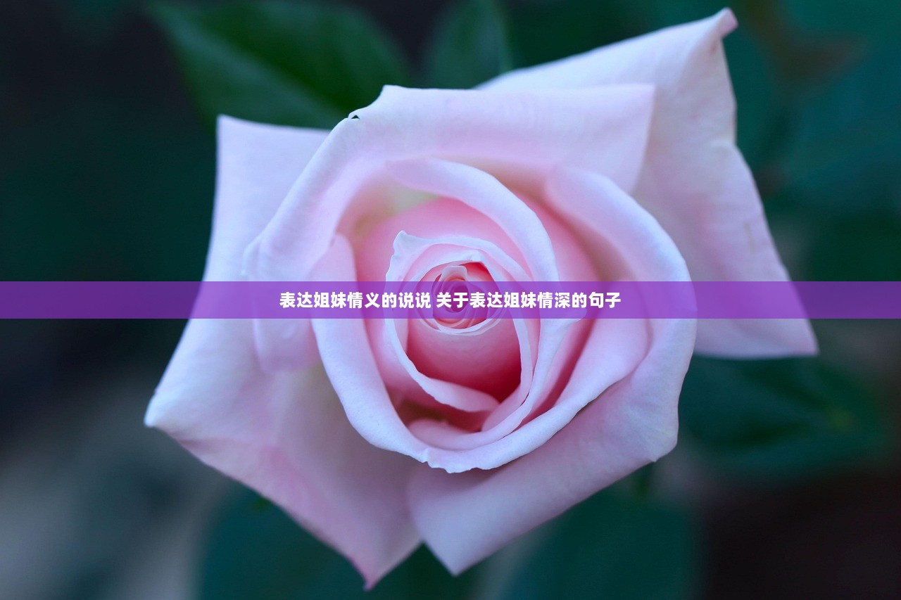 表达姐妹情义的说说 关于表达姐妹情深的句子