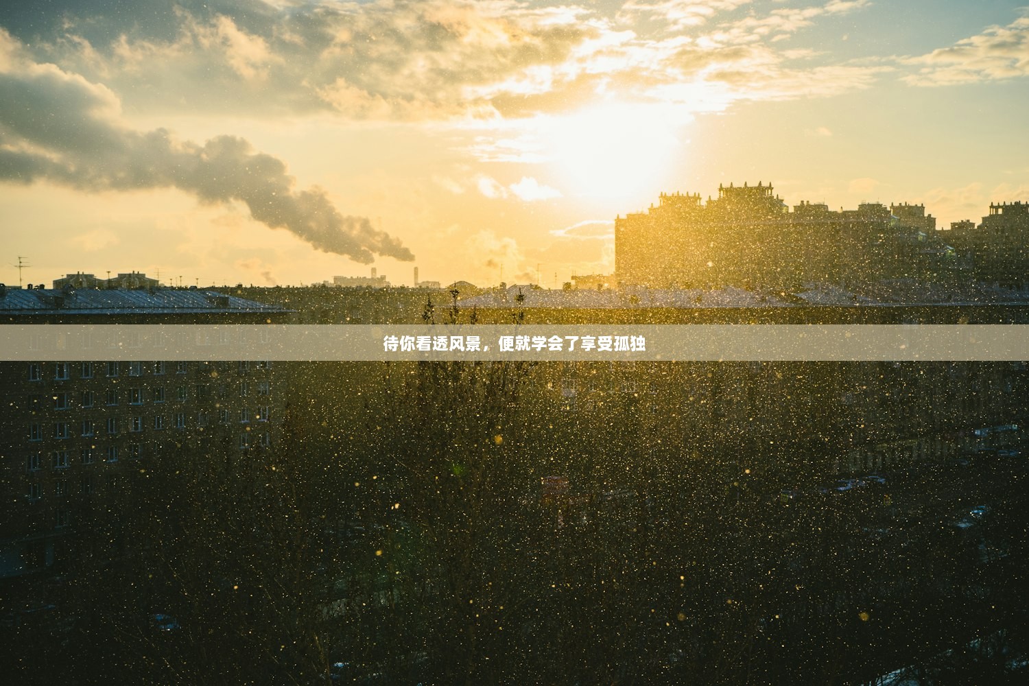 待你看透风景，便就学会了享受孤独